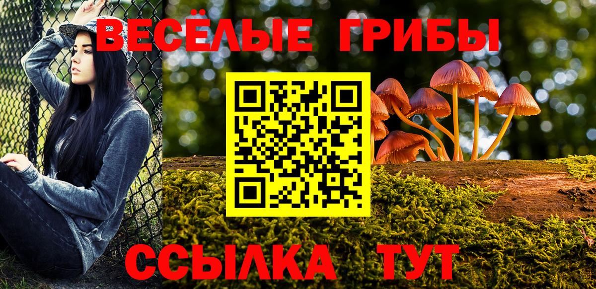 купить закладку  Вход с VPN  Кашира  Галлюциногенные грибы MAGIC MUSHROOMS  Псилоцибиновые грибы Cubensis 